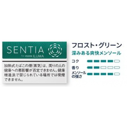 SENTIA フロスト・グリーン