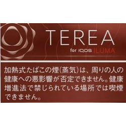 テリア  ボールド・レギュラー